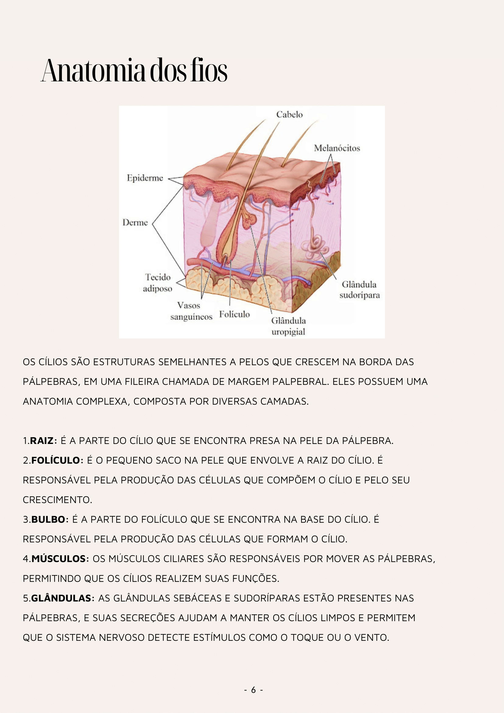 Página interna da apostila